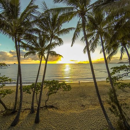 Marlin Waters Beachfront Apartments Palm Cove Eksteriør billede