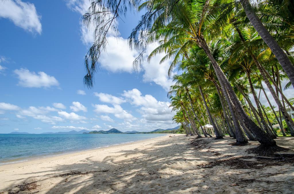 Marlin Waters Beachfront Apartments Palm Cove Eksteriør billede