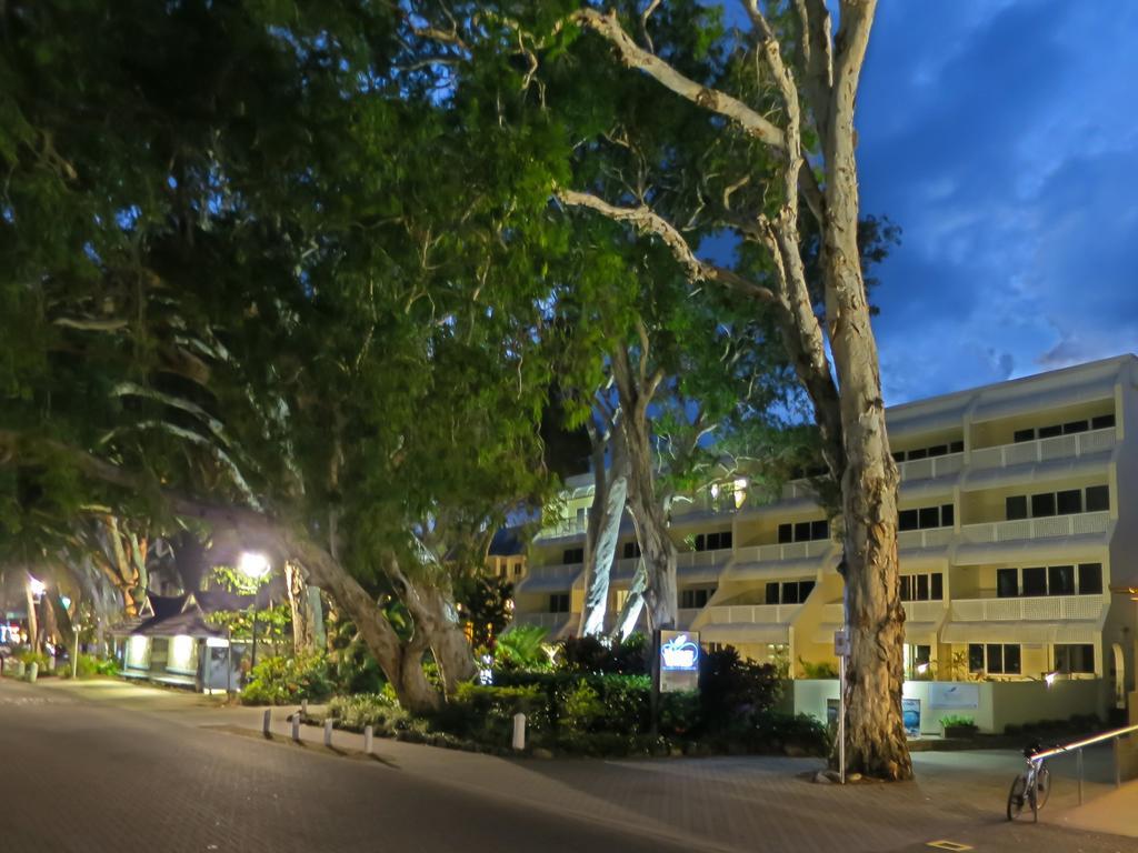 Marlin Waters Beachfront Apartments Palm Cove Eksteriør billede