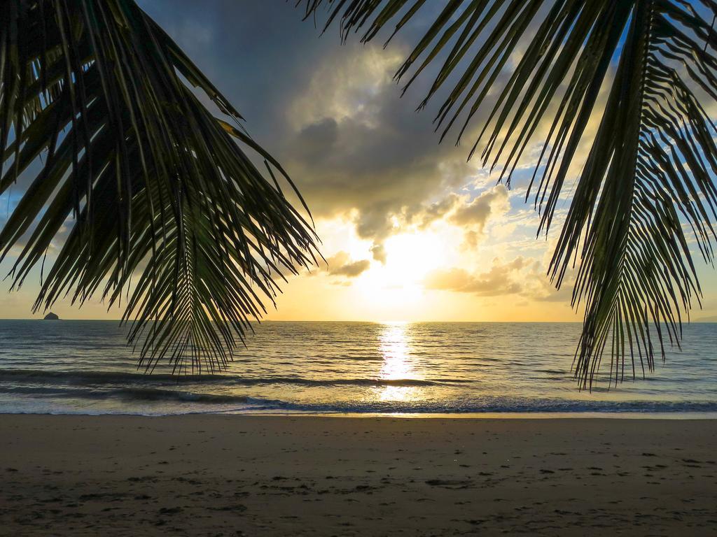 Marlin Waters Beachfront Apartments Palm Cove Værelse billede