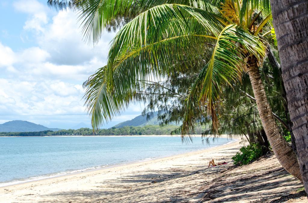 Marlin Waters Beachfront Apartments Palm Cove Værelse billede