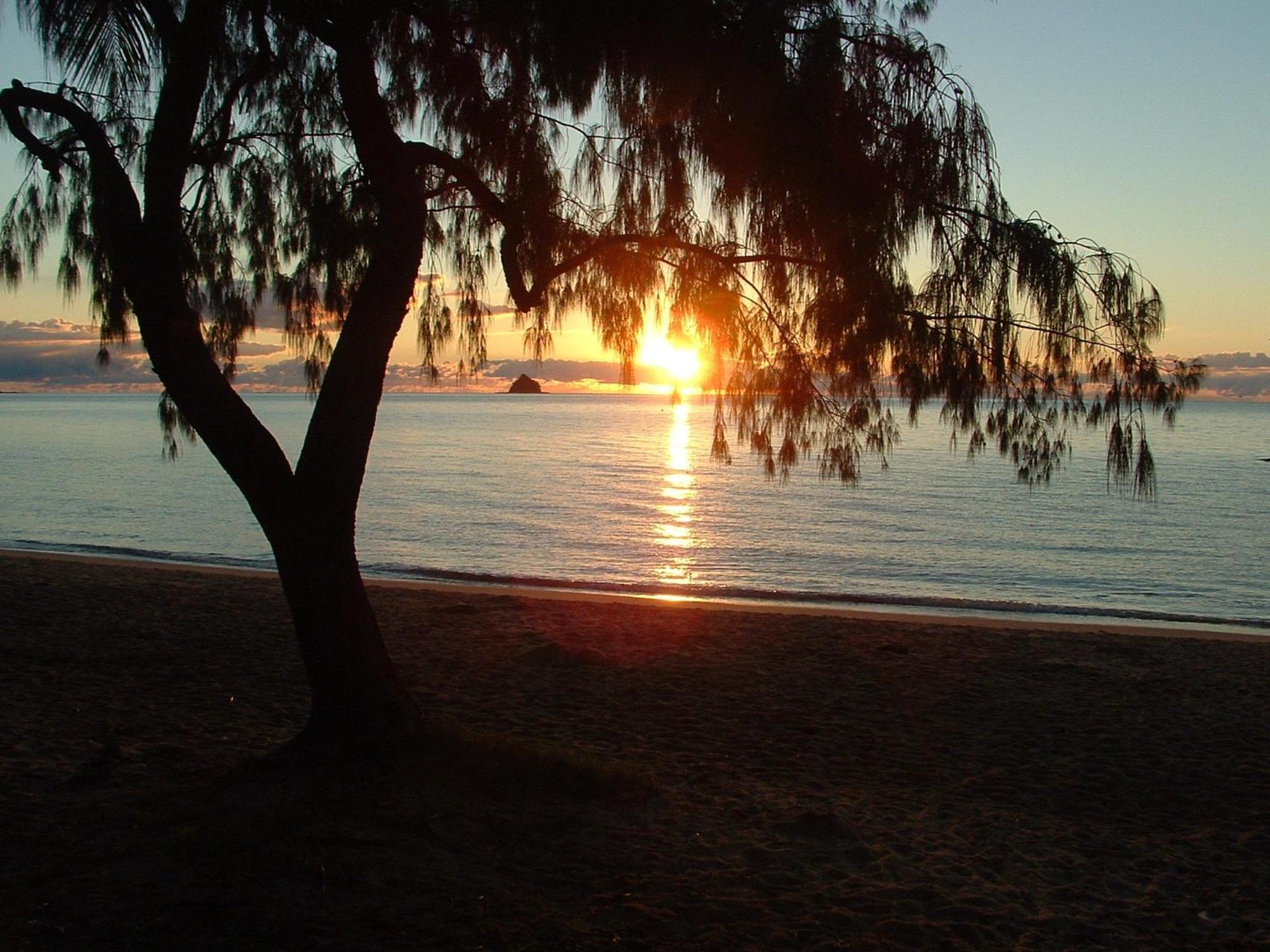 Marlin Waters Beachfront Apartments Palm Cove Eksteriør billede