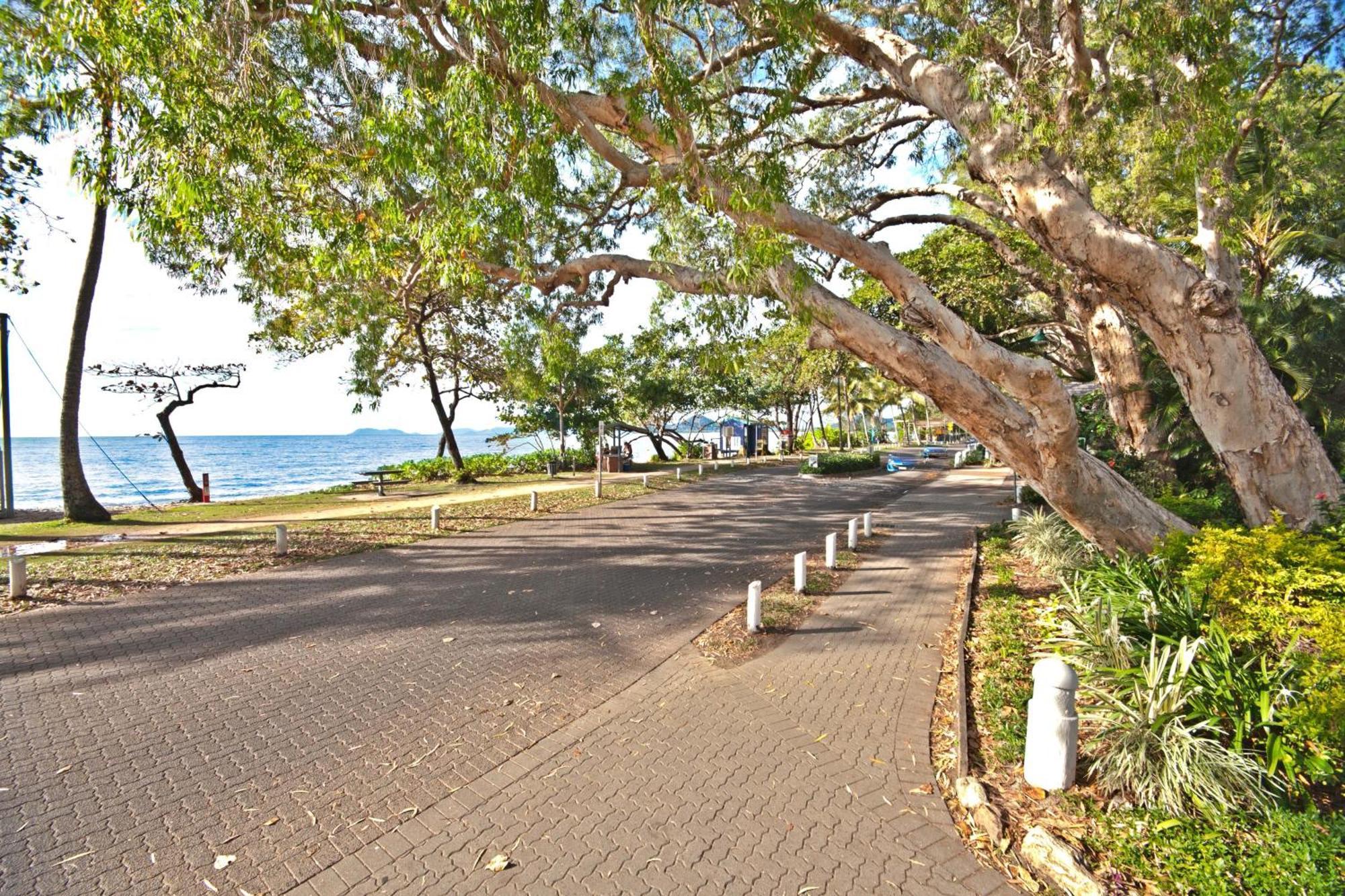 Marlin Waters Beachfront Apartments Palm Cove Eksteriør billede