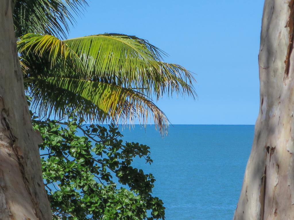 Marlin Waters Beachfront Apartments Palm Cove Eksteriør billede