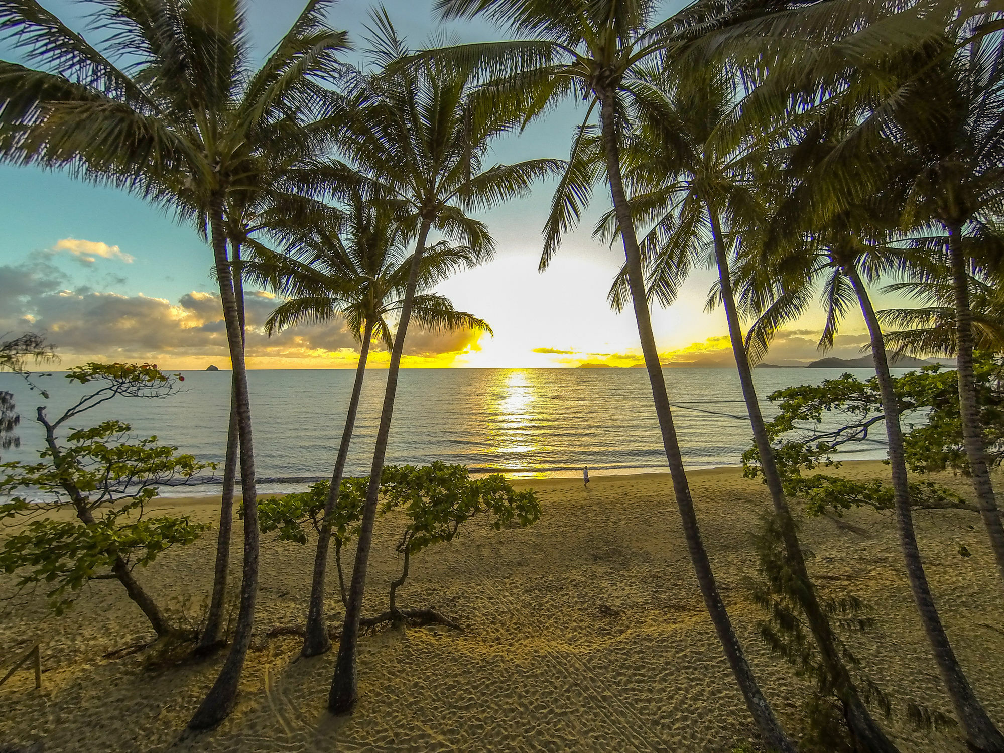 Marlin Waters Beachfront Apartments Palm Cove Eksteriør billede