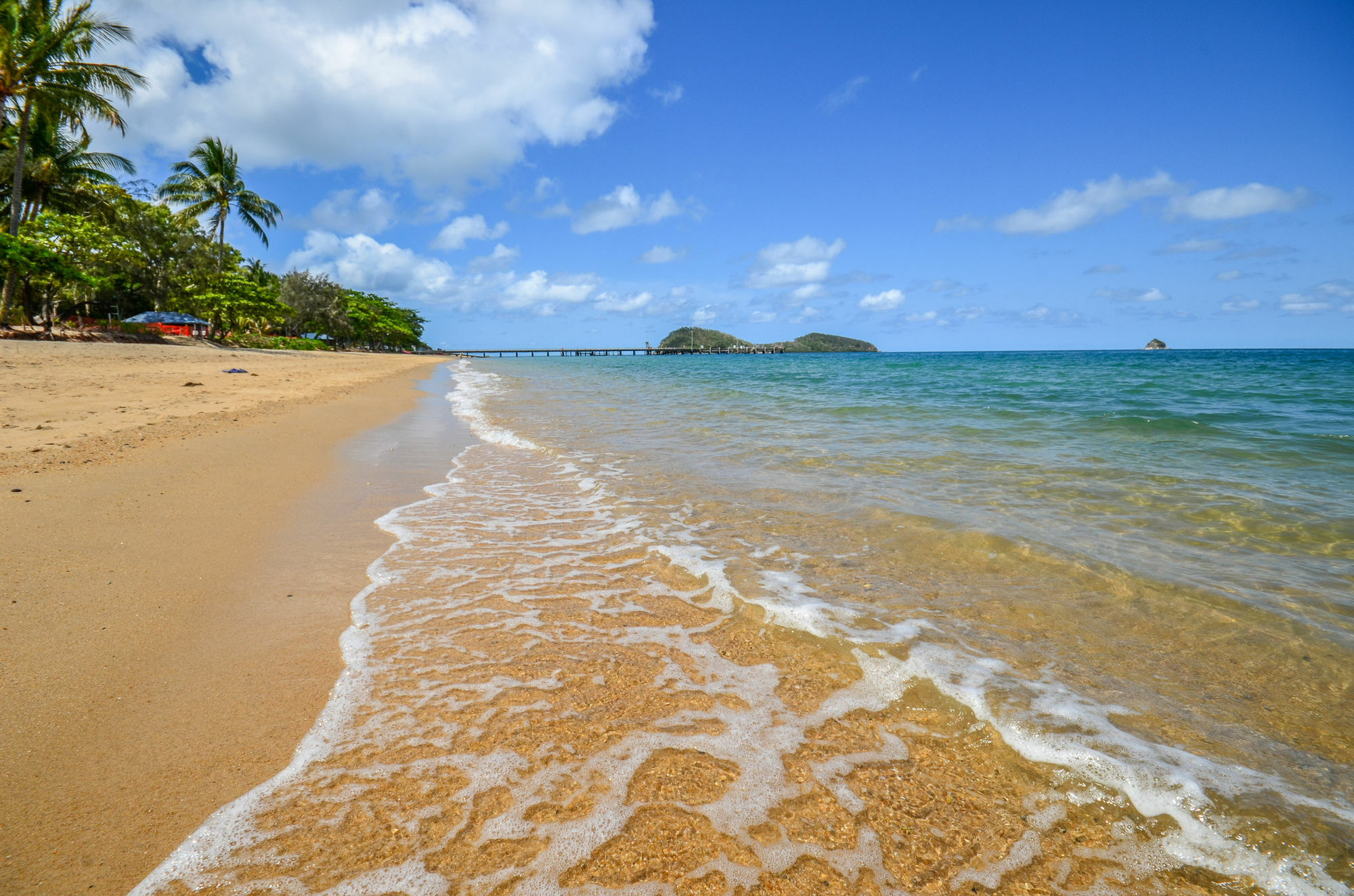 Marlin Waters Beachfront Apartments Palm Cove Eksteriør billede