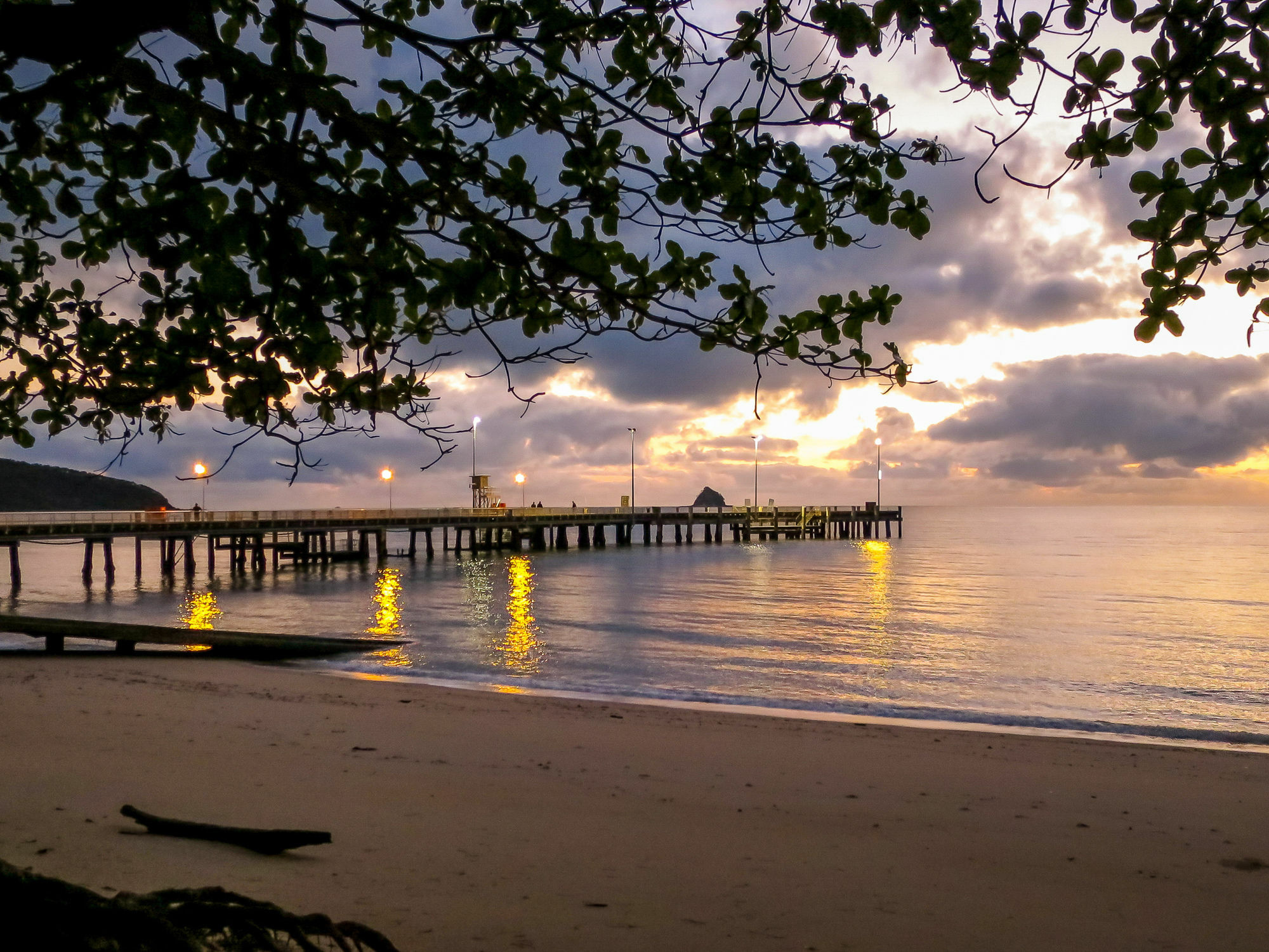 Marlin Waters Beachfront Apartments Palm Cove Eksteriør billede