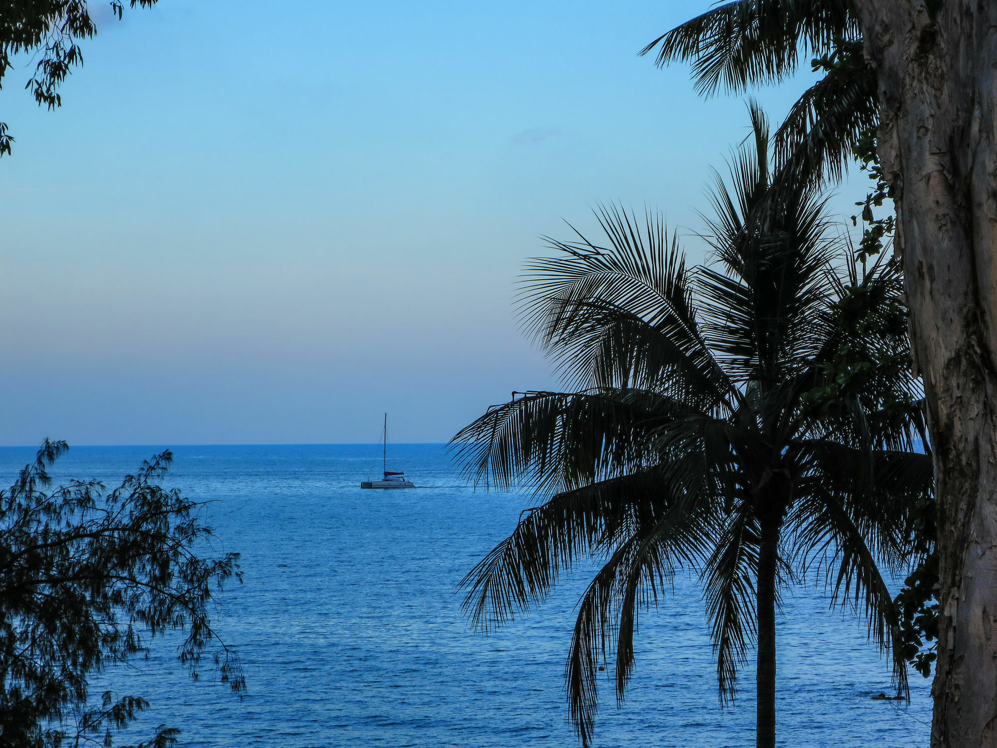 Marlin Waters Beachfront Apartments Palm Cove Eksteriør billede