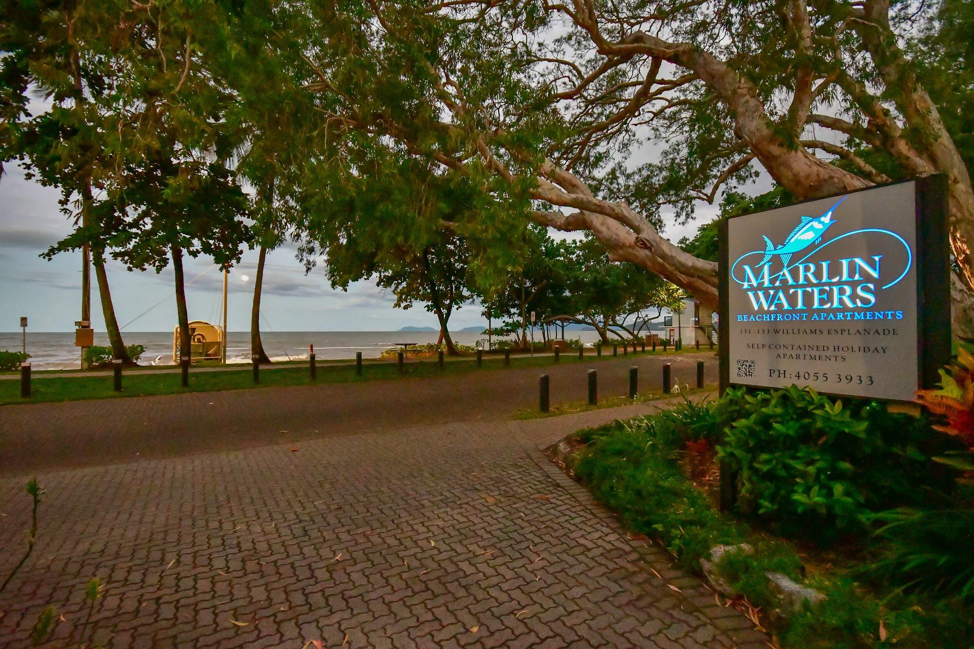 Marlin Waters Beachfront Apartments Palm Cove Eksteriør billede