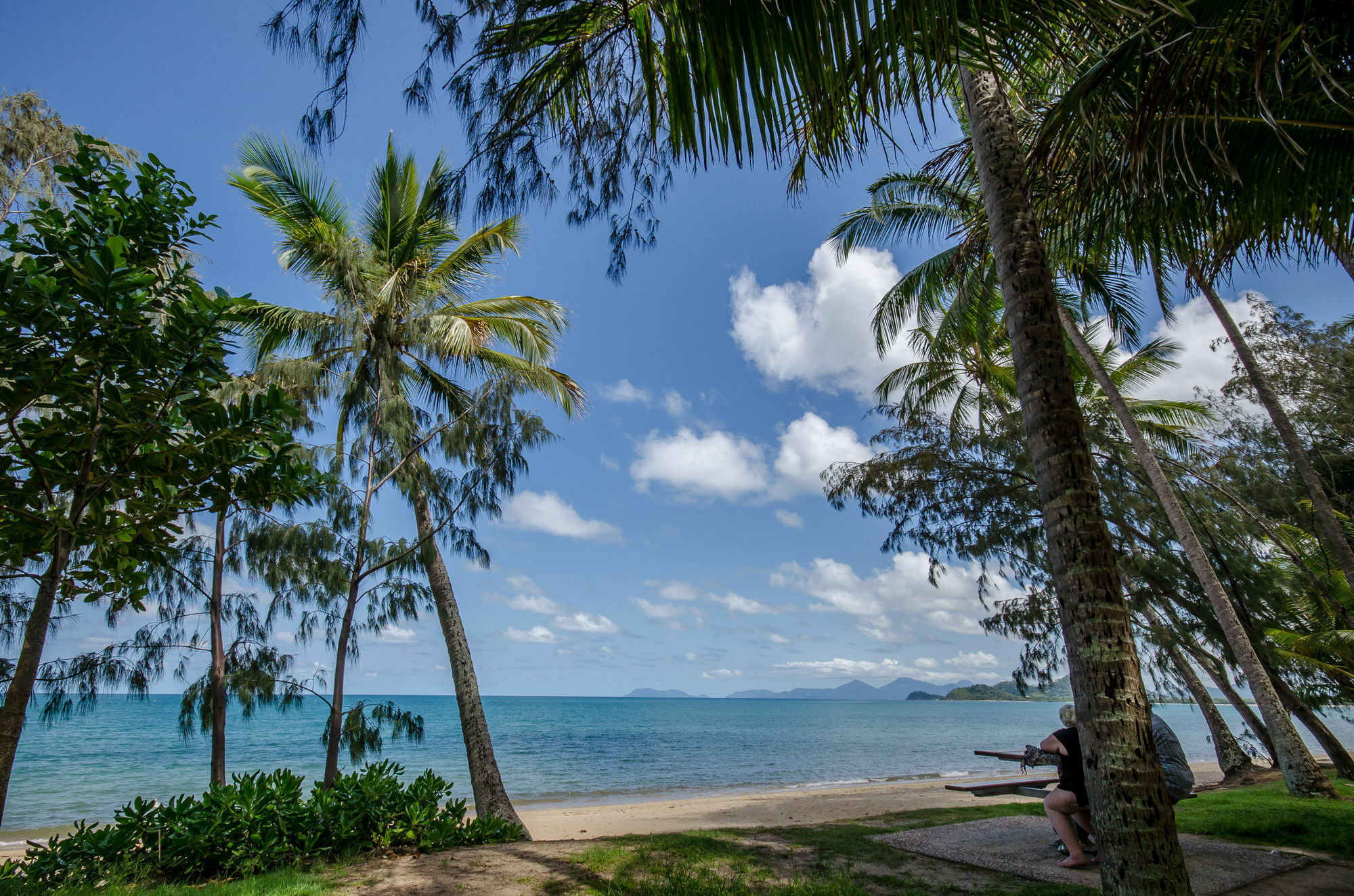 Marlin Waters Beachfront Apartments Palm Cove Eksteriør billede