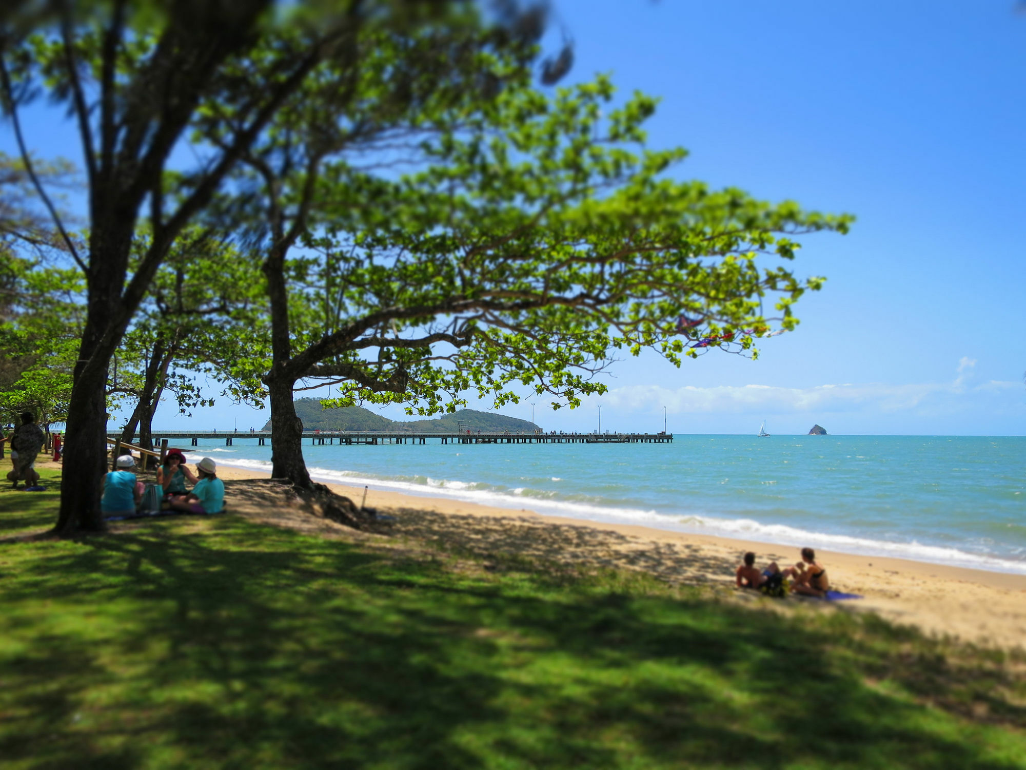 Marlin Waters Beachfront Apartments Palm Cove Eksteriør billede