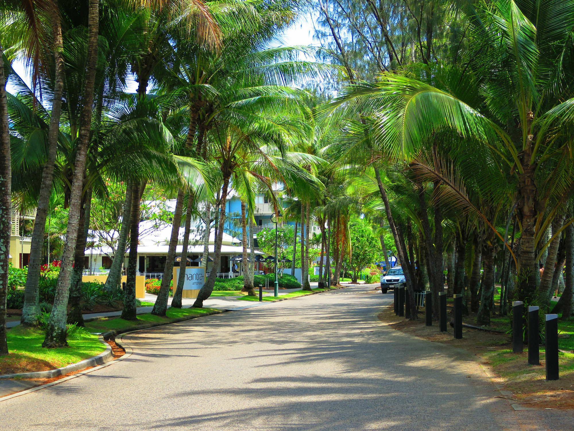 Marlin Waters Beachfront Apartments Palm Cove Eksteriør billede