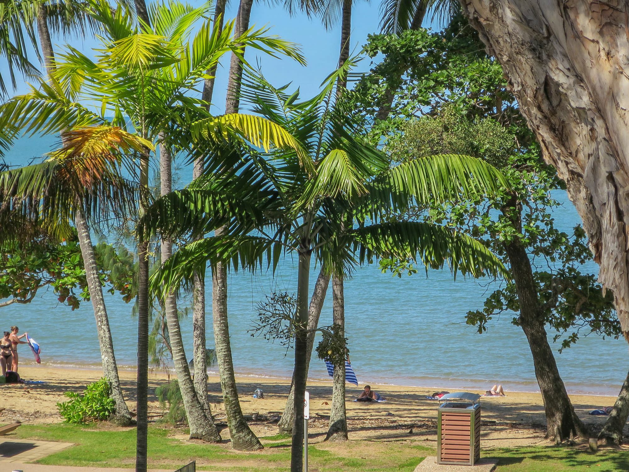 Marlin Waters Beachfront Apartments Palm Cove Eksteriør billede