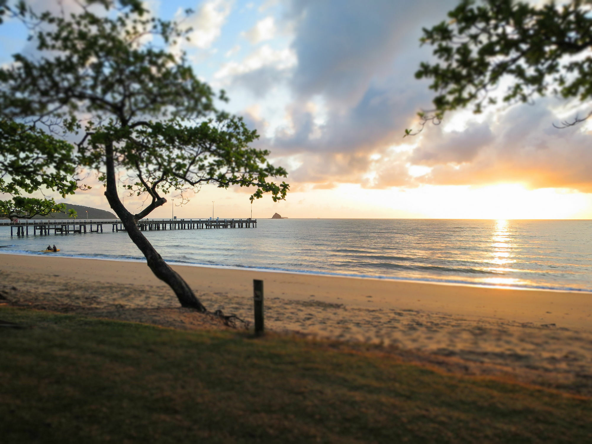 Marlin Waters Beachfront Apartments Palm Cove Eksteriør billede