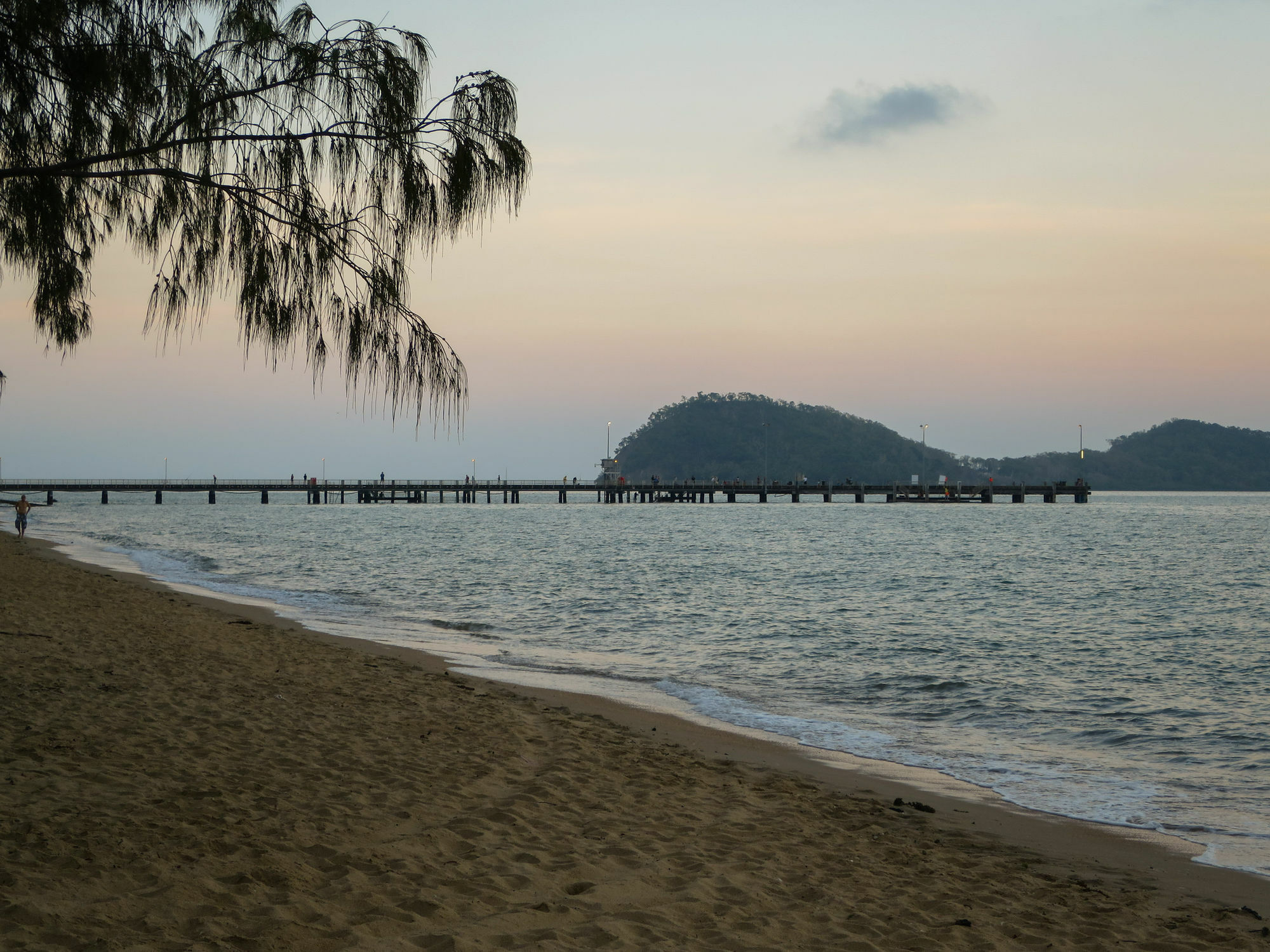 Marlin Waters Beachfront Apartments Palm Cove Eksteriør billede