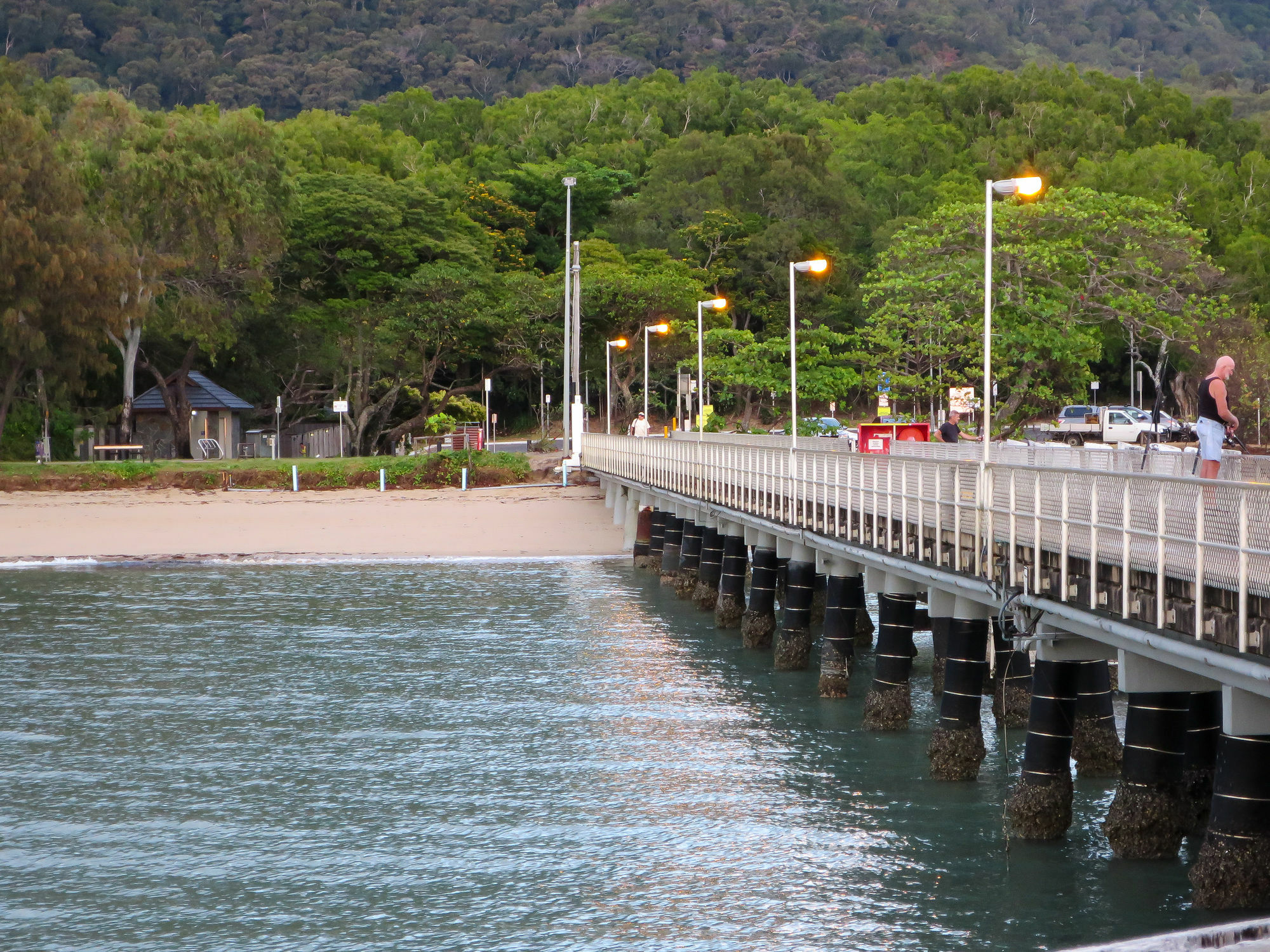 Marlin Waters Beachfront Apartments Palm Cove Eksteriør billede